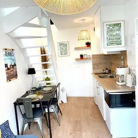 Duplex Cosy / Terrasse / Cour Interieure * Rennes