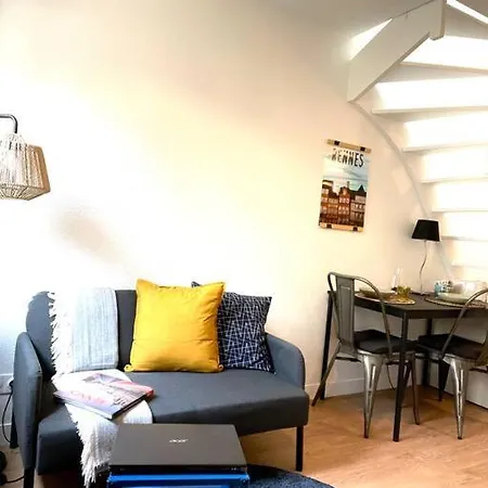 Apartment Duplex Cosy / Terrasse / Cour Interieure Rennes